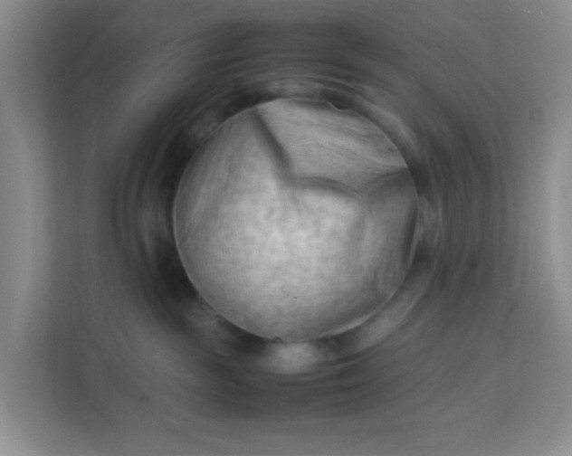 X0000111600189200907301454