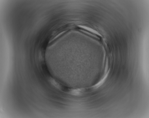 X0000111600190200907301454