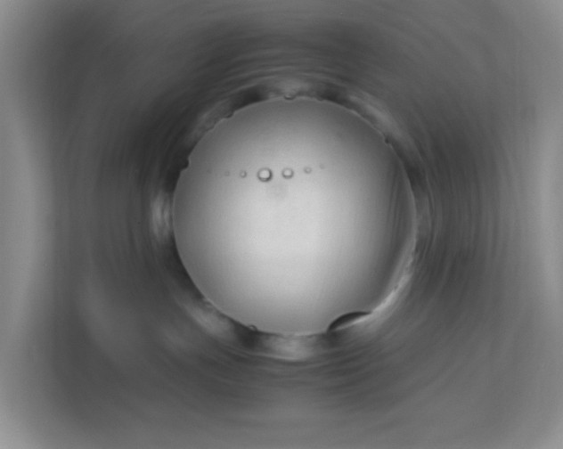 X0000111600191200907301454