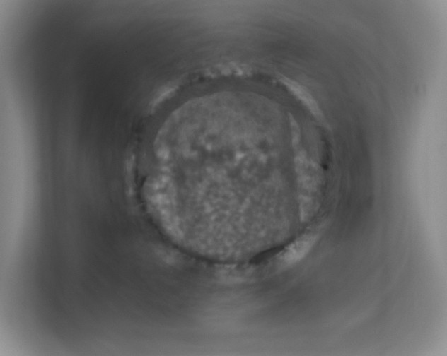 X0000111600192200907301454