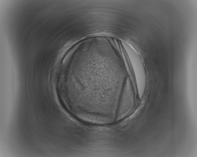 X0000111600193200907301453