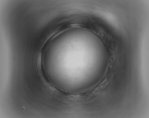 X0000111600194200907301453