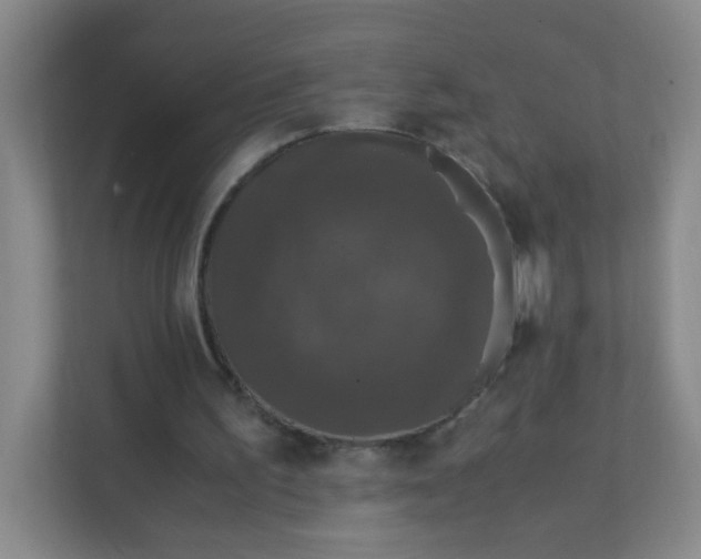 X0000111600195200907301453