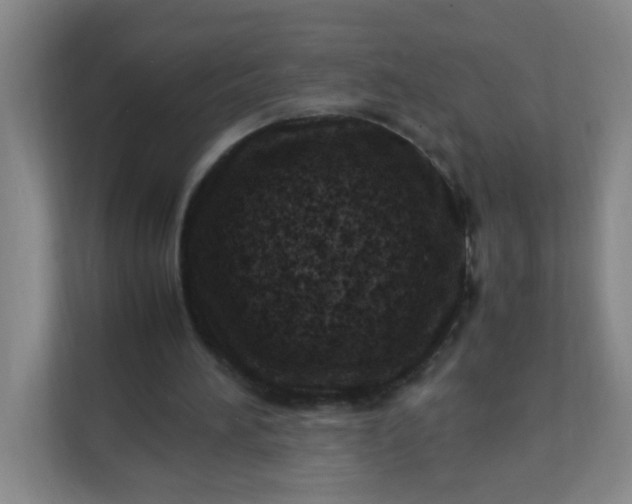 X0000111600196200907301453