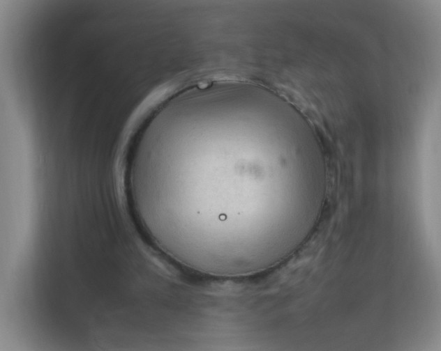 X0000111600197200907301453