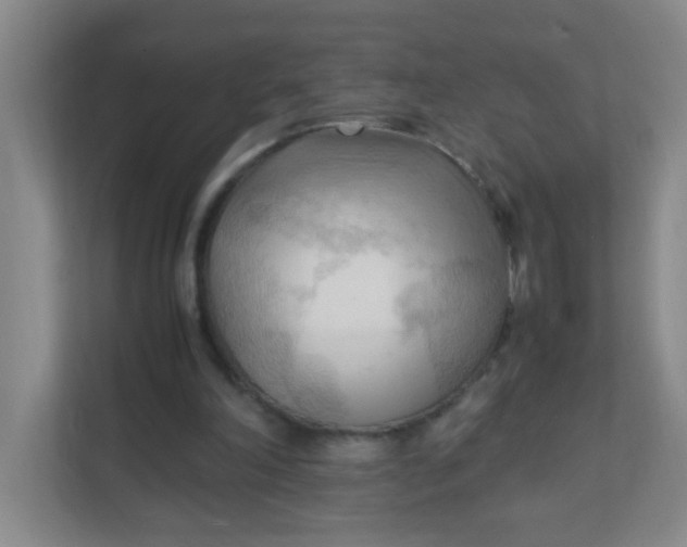X0000111600198200907301453
