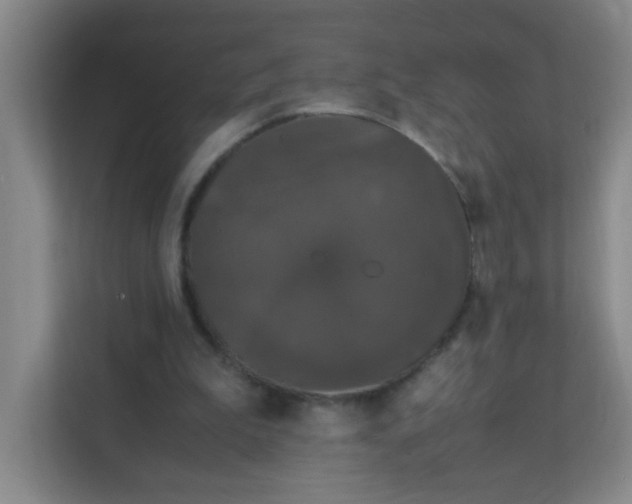 X0000111600199200907301453