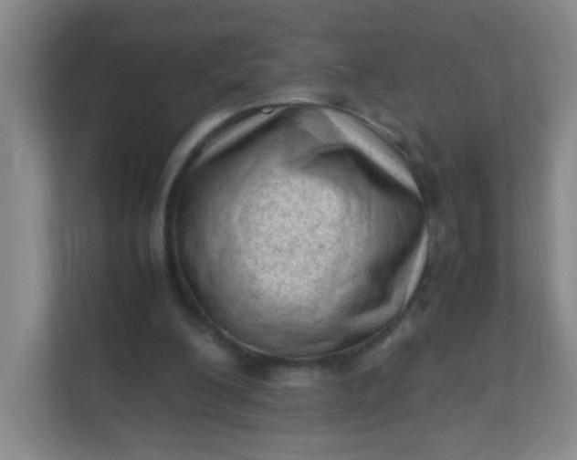 X0000111600200200907301453