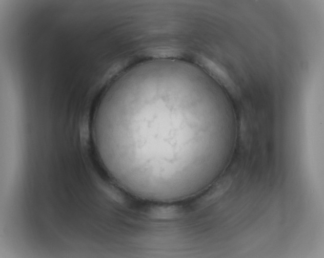 X0000111600202200907301453