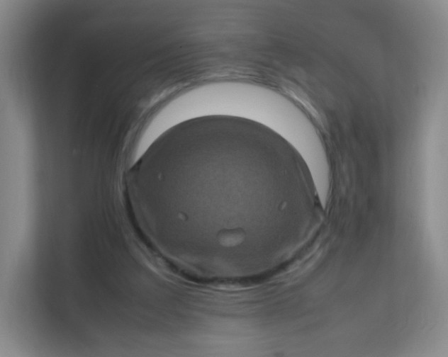 X0000111600203200907301453
