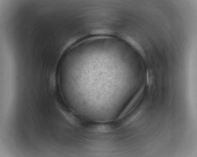 X0000111600204200907301453