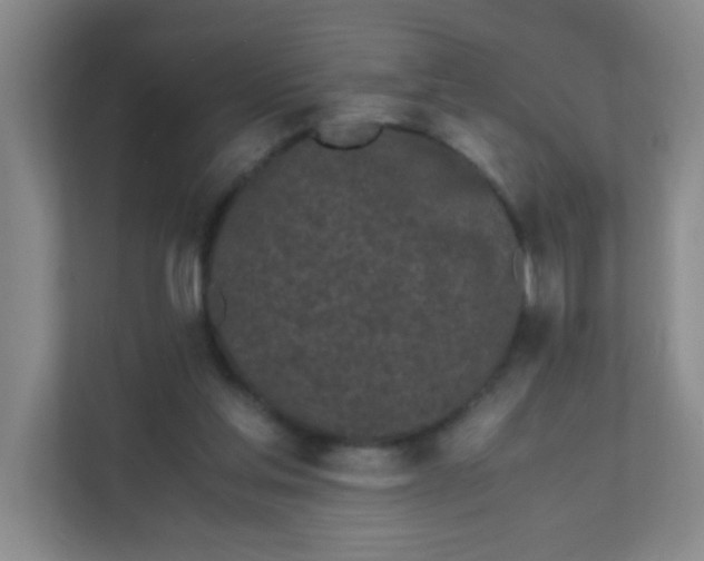 X0000111600205200907301453