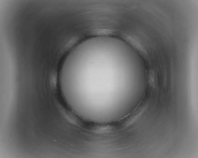 X0000111600206200907301453