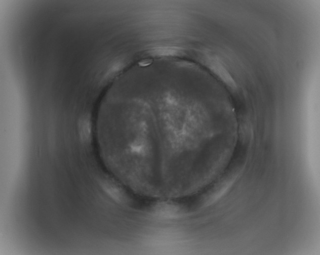 X0000111600207200907301453
