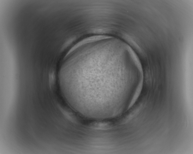 X0000111600208200907301453