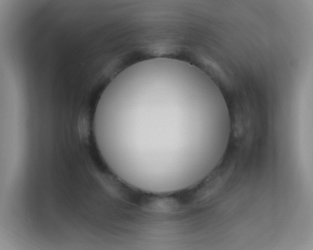 X0000111600210200907301453