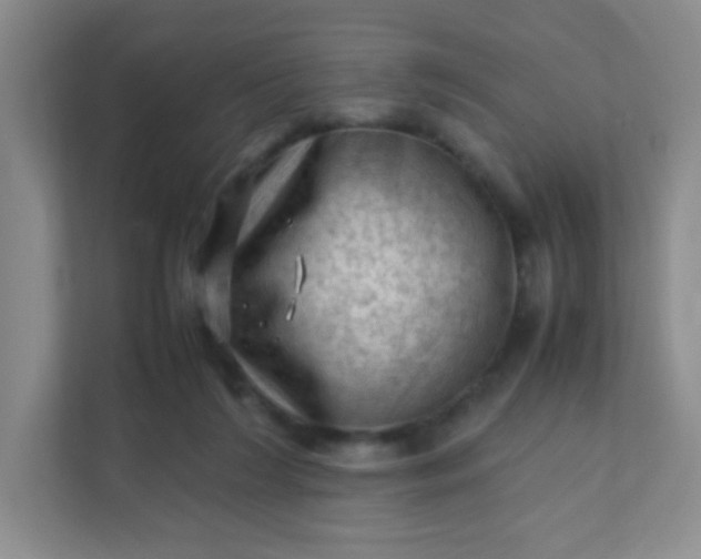 X0000111600212200907301453