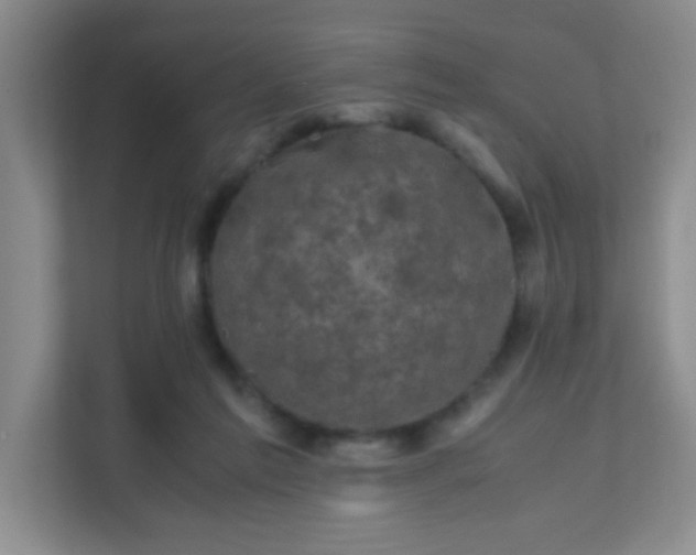X0000111600213200907301453