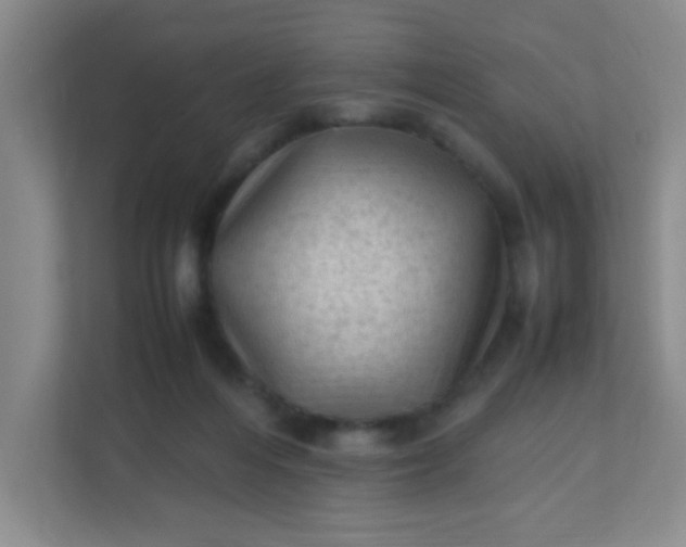 X0000111600216200907301453
