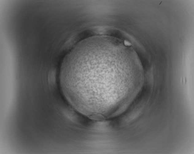 X0000111600217200907301453