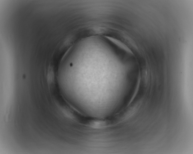 X0000111600220200907301453
