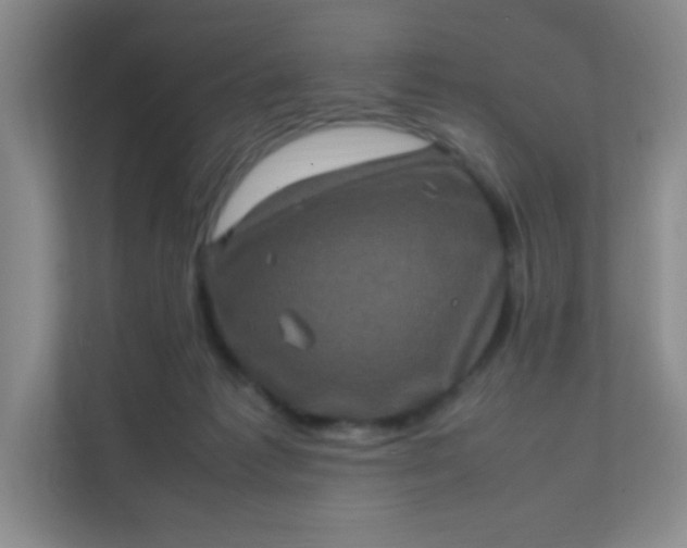 X0000111600221200907301453