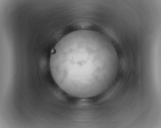 X0000111600222200907301453