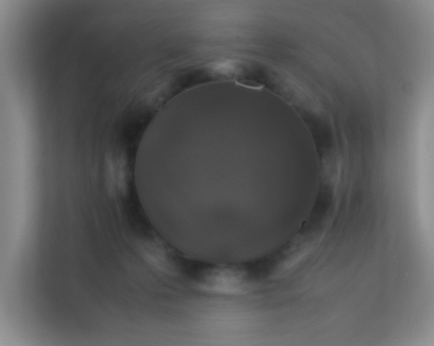 X0000111600223200907301453