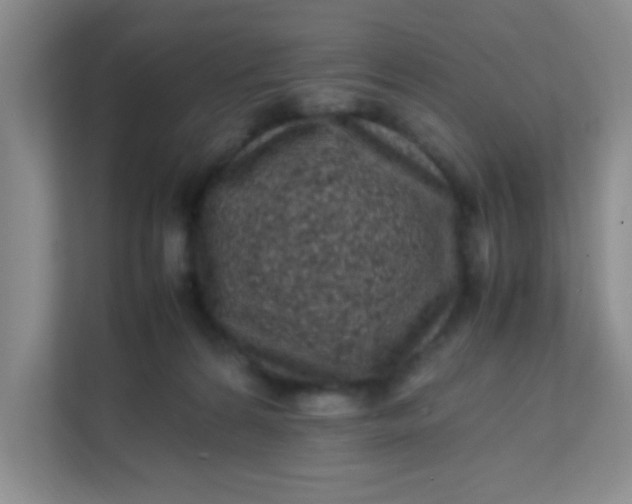 X0000111600224200907301453