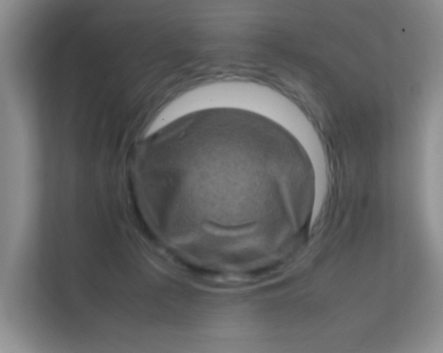 X0000111600225200907301453