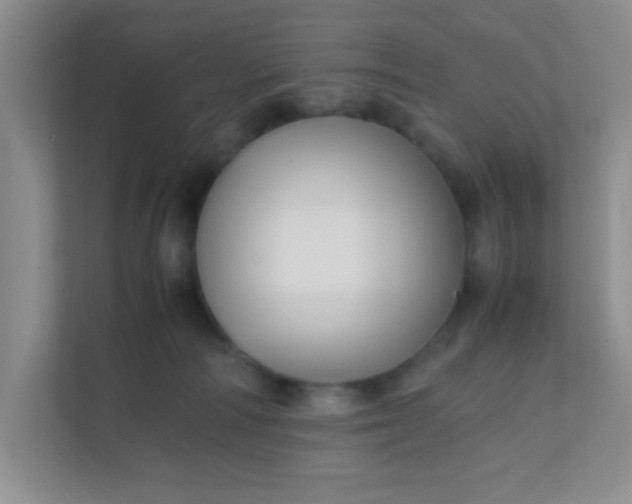 X0000111600226200907301453