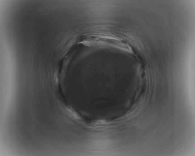 X0000111600227200907301453
