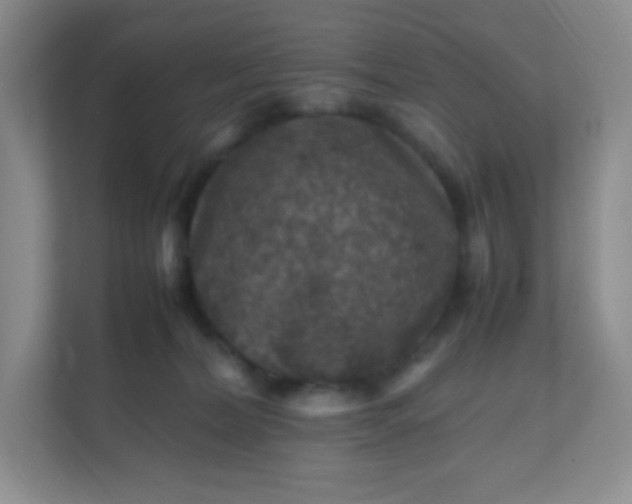 X0000111600228200907301453