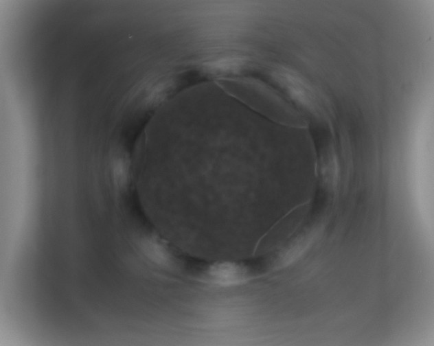 X0000111600231200907301453
