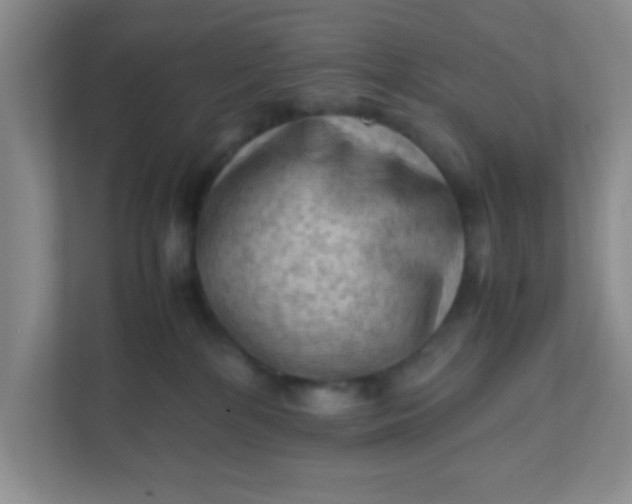 X0000111600232200907301453