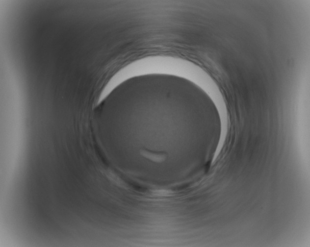 X0000111600233200907301453