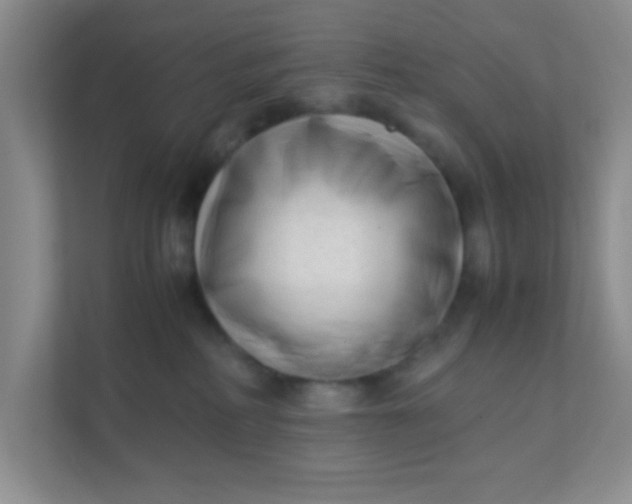 X0000111600234200907301453