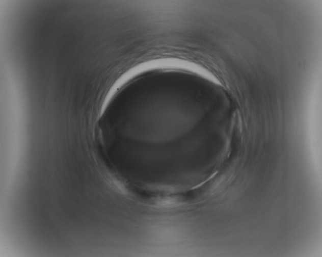 X0000111600235200907301453