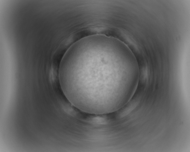X0000111600236200907301453