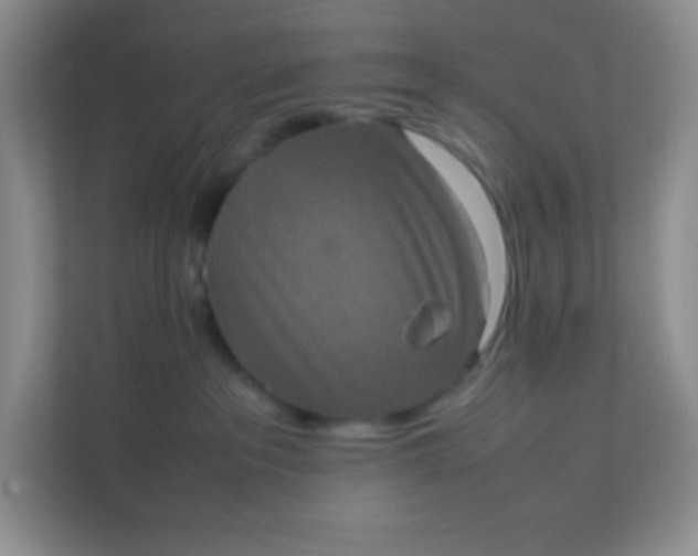 X0000111600237200907301453