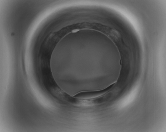 X0000111600239200907301453