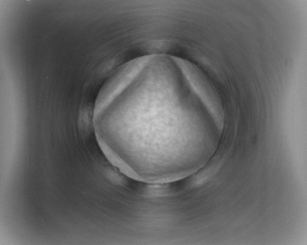 X0000111600240200907301453