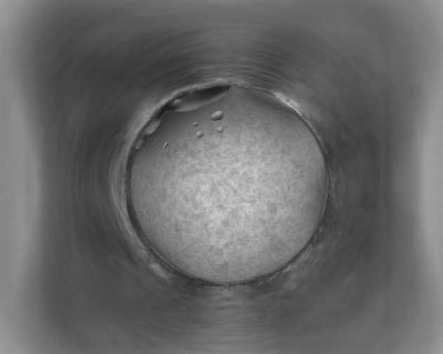 X0000111600241200907301452