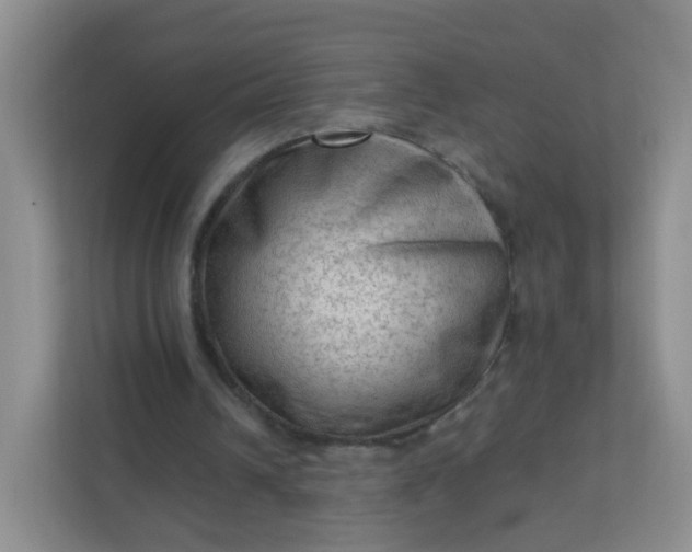 X0000111600242200907301452