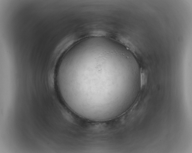 X0000111600243200907301452