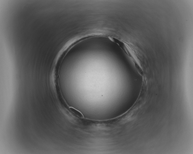 X0000111600244200907301452
