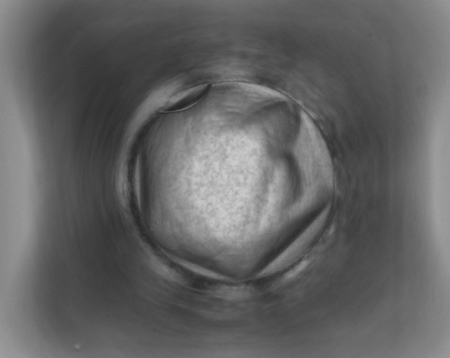 X0000111600245200907301452