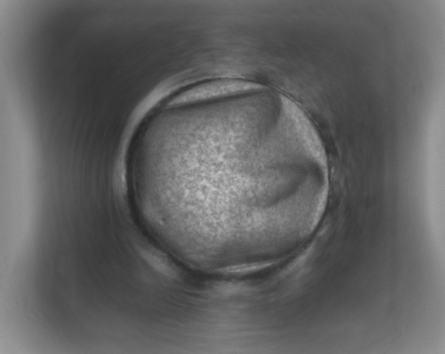 X0000111600246200907301452