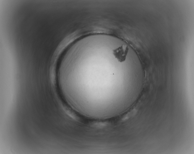 X0000111600247200907301452