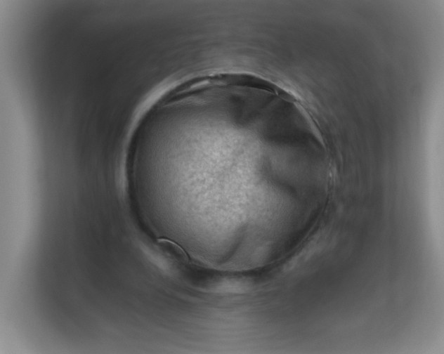 X0000111600248200907301452